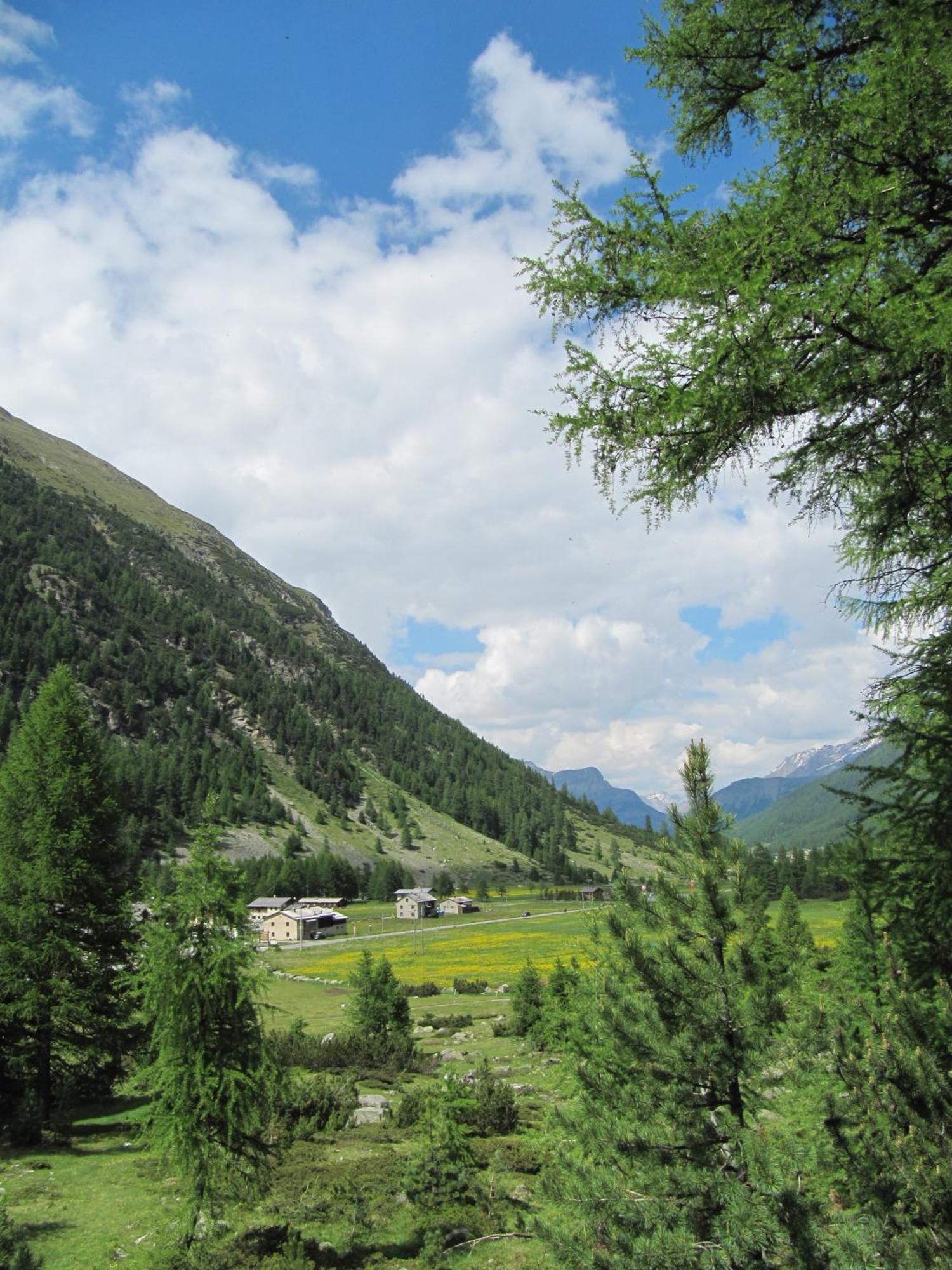 Bed & Breakfast Campaciol Livigno Eksteriør billede