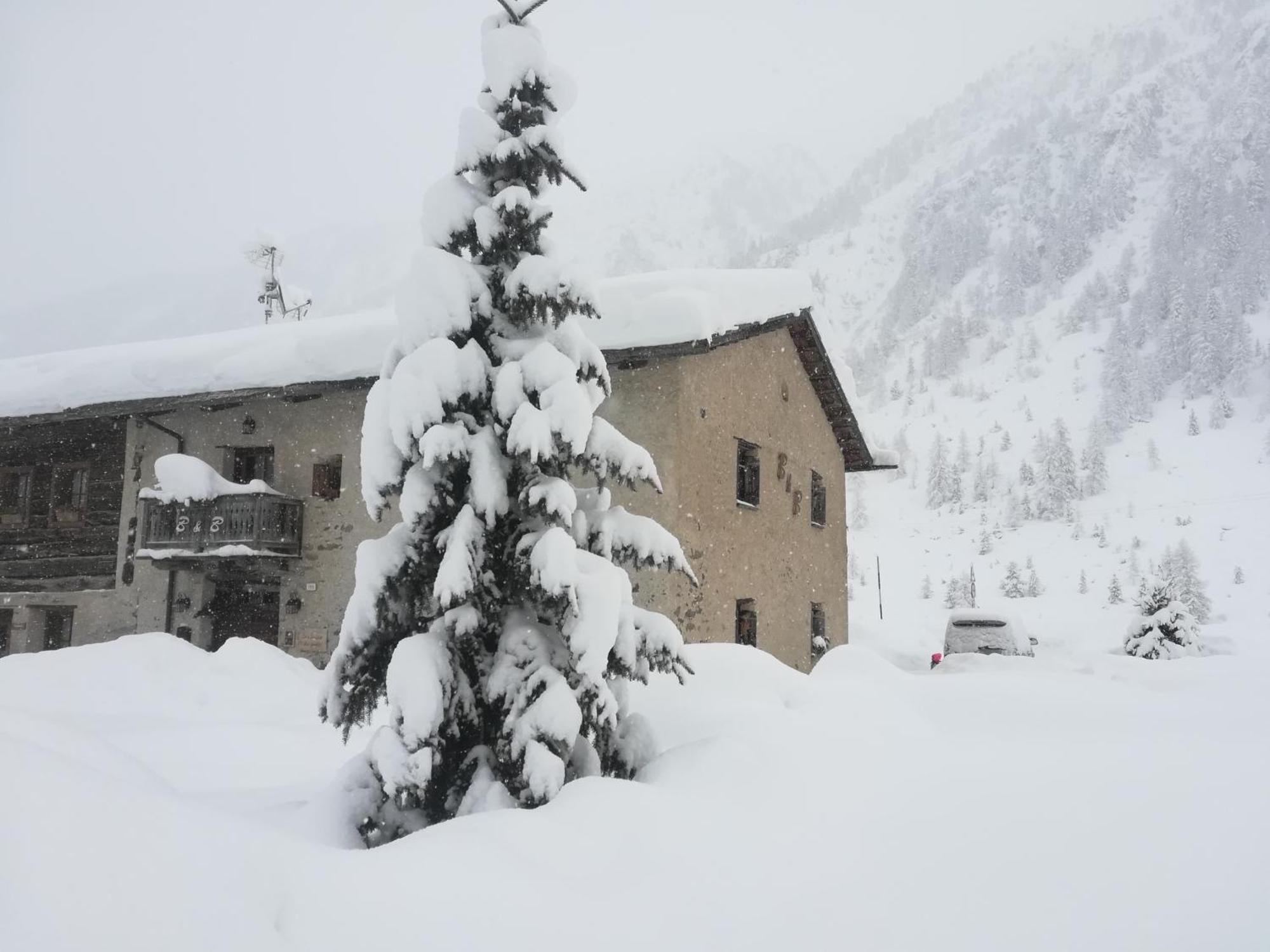 Bed & Breakfast Campaciol Livigno Eksteriør billede
